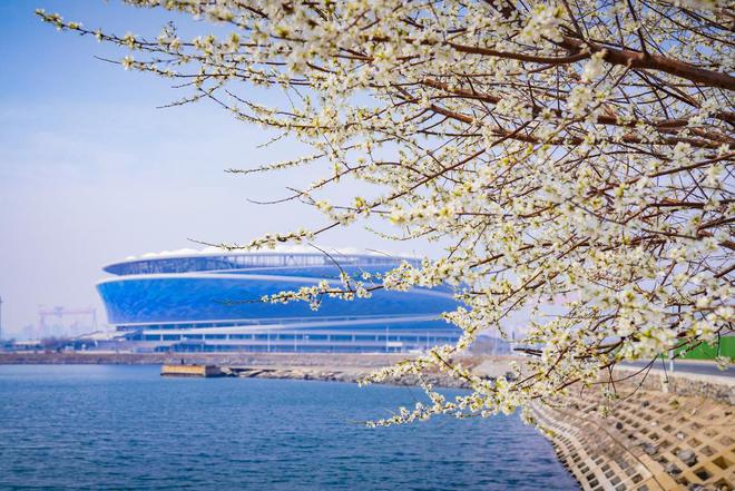 5月3日中国日报聚焦大连打造全国足球之旅首选城市