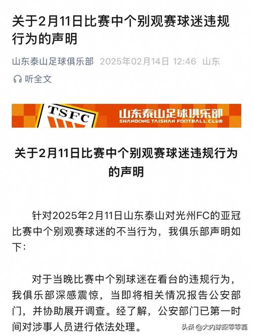 山东泰山备战遇波折，克雷桑遭足协罚单，齐鲁德比判罚引争议