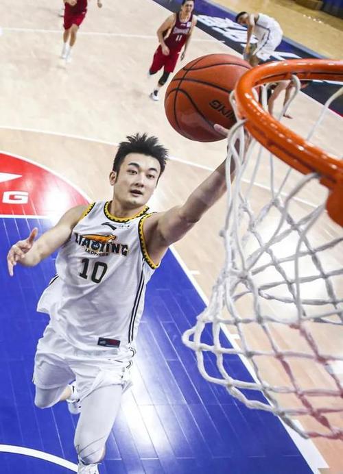 5日凌晨各大媒体透露丛明晨退役，辽篮13点30分正式官宣
