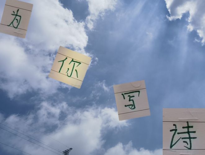 中超11轮后：海港国安引援差异，维塔尔全勤表现获认可